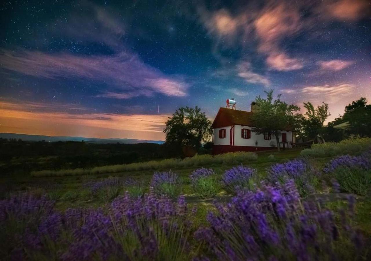 Lavanda Carasova Crasova Esterno foto