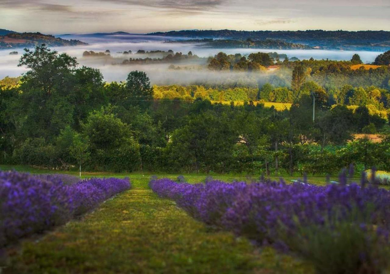 Lavanda Carasova Crasova Esterno foto